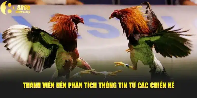 Thành viên nên phân tích thông tin từ các chiến kê